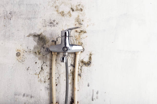 Best Mold Testing  in National City, CA