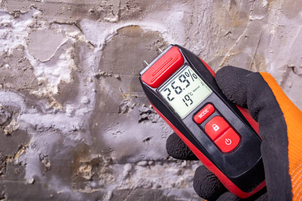 Mold Removal Process in National City, CA
